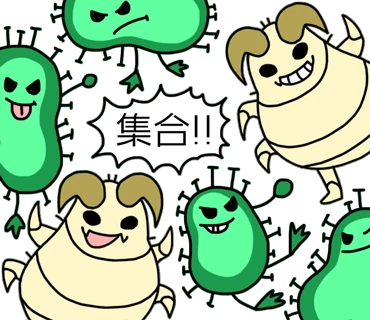 ブログ